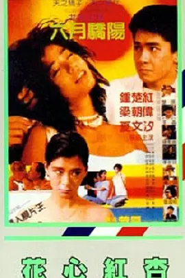 警花韩阳阳裸体调教记